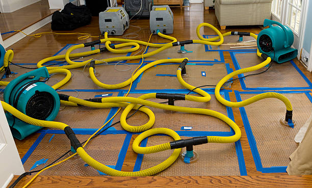 Professional Storm Water Damage Restoration technician working in Milford, OH